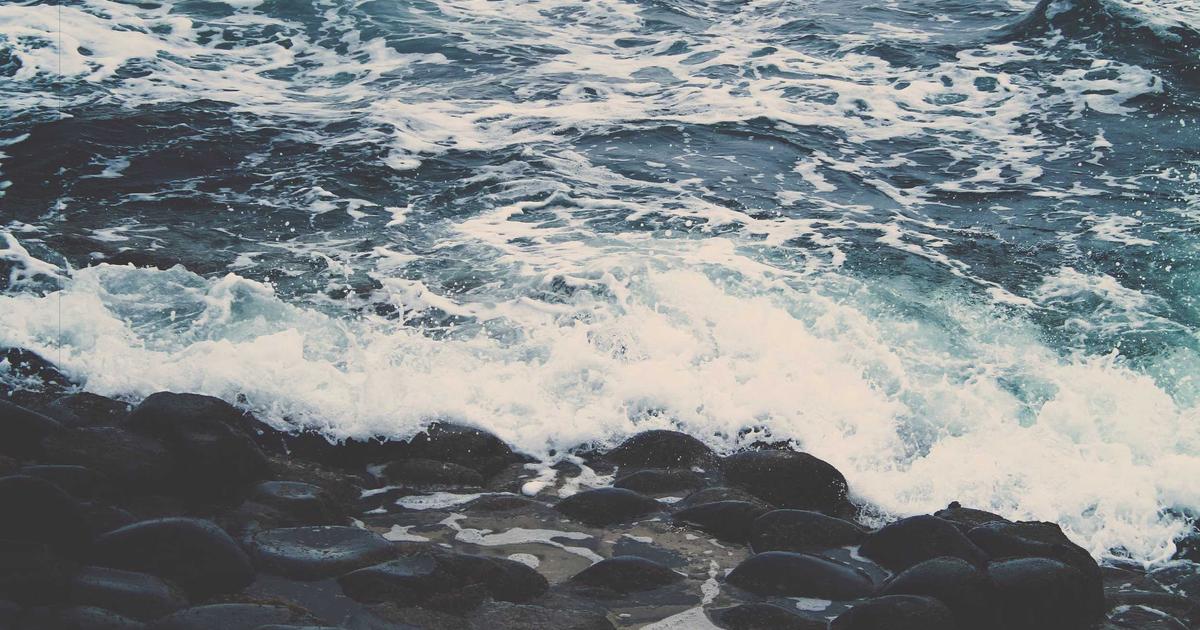 Building a Newsletter from Scratch: A 2026 Guide