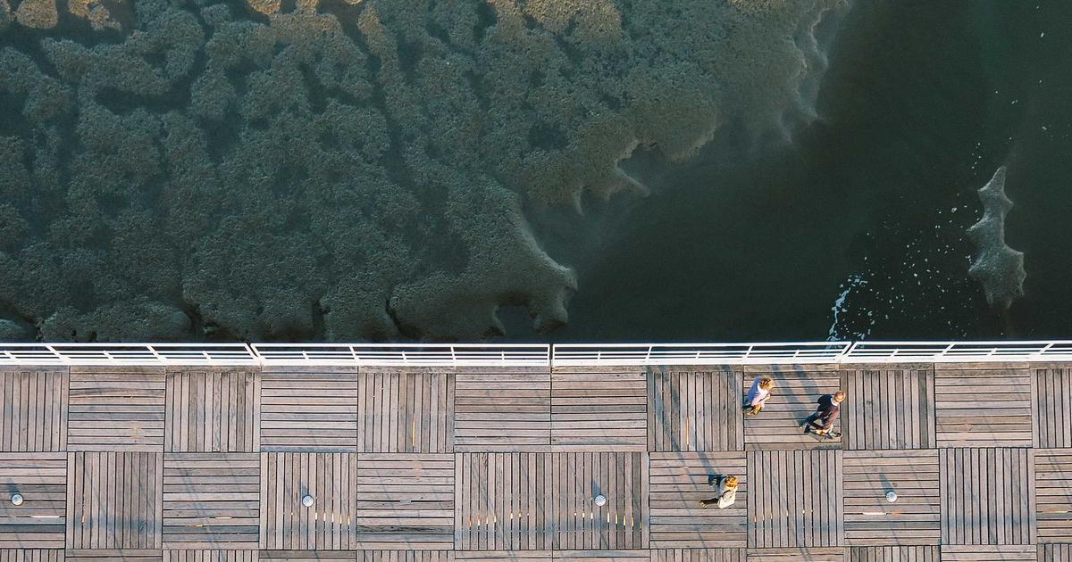 Email Marketing for Ecommerce: Building Long-term Loyalty