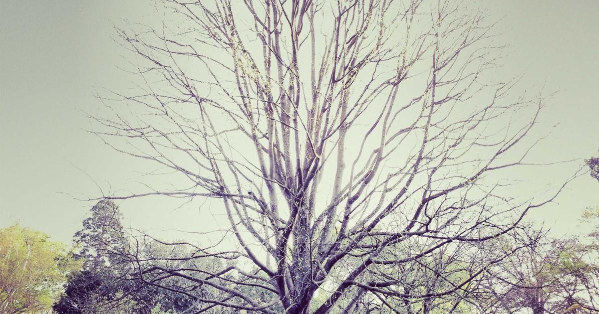 How Often Should You Email Your Subscribers?