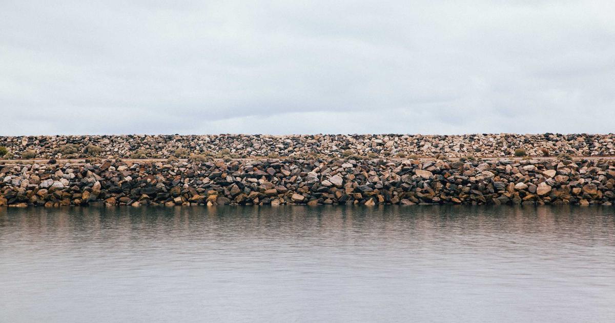 Email Marketing for Authors: Building a Loyal Readership