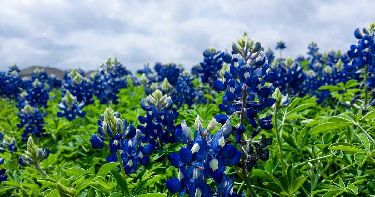 Email Marketing Case Study: How GrowthCo Achieved 40% Increase in ROI