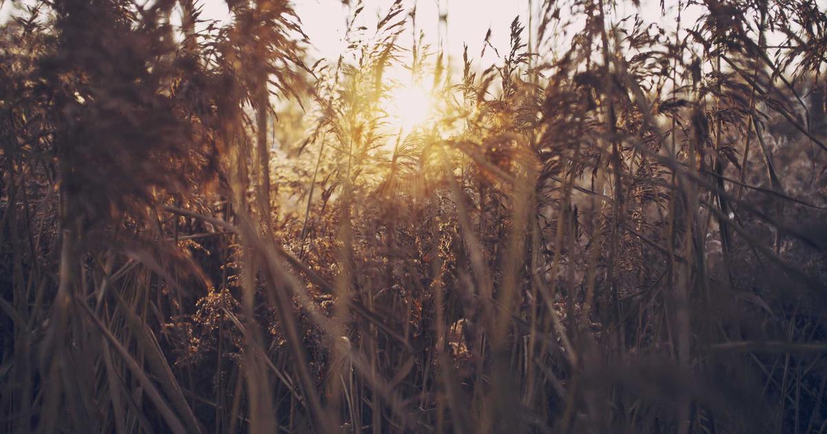 Email Marketing for E-learning: Supporting Student Success