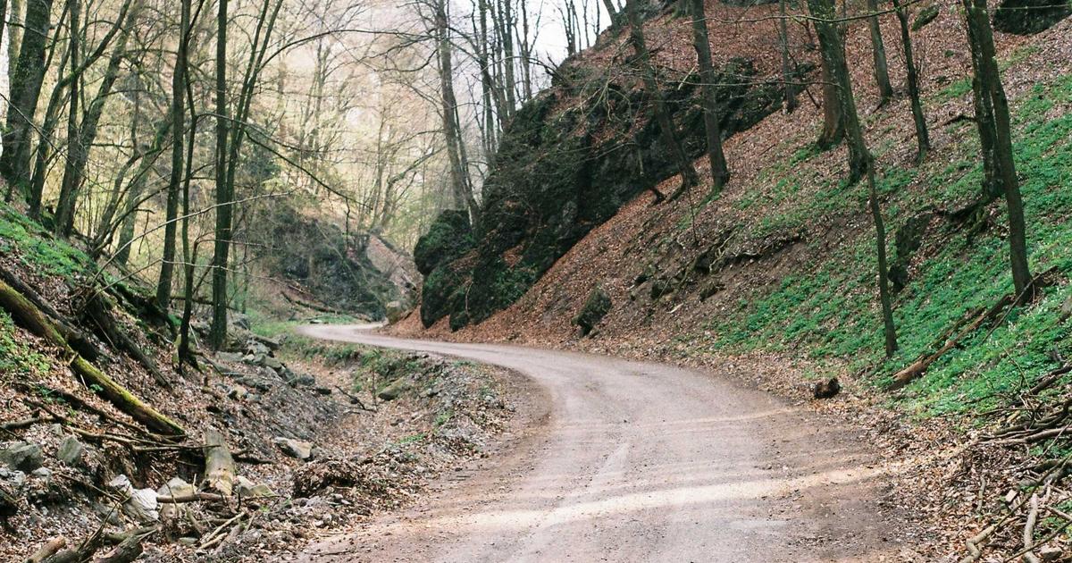 Email Marketing for Local Businesses: Building a Thriving Community