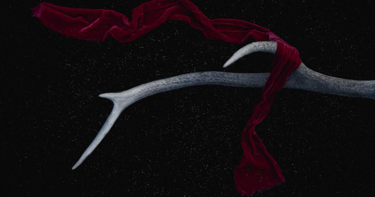 Email Marketing for SaaS Startups: A Scaling Guide