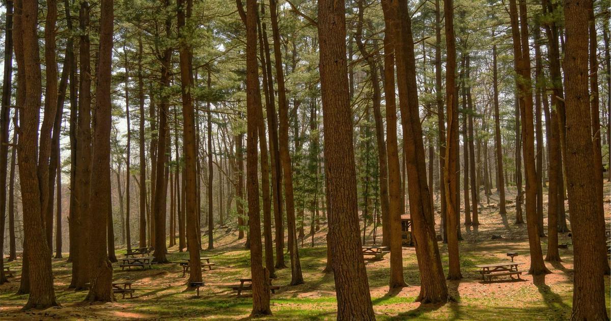 Email Marketing for Travel: Inspiring the Next Adventure