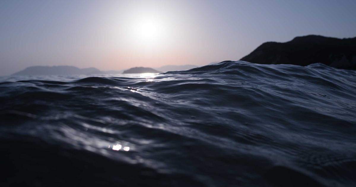 Transitioning from Mailchimp to Taildove: A Seamless Guide