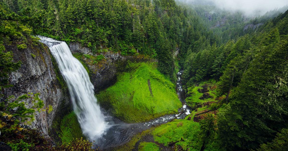 Email Marketing for SaaS: Driving User Activation