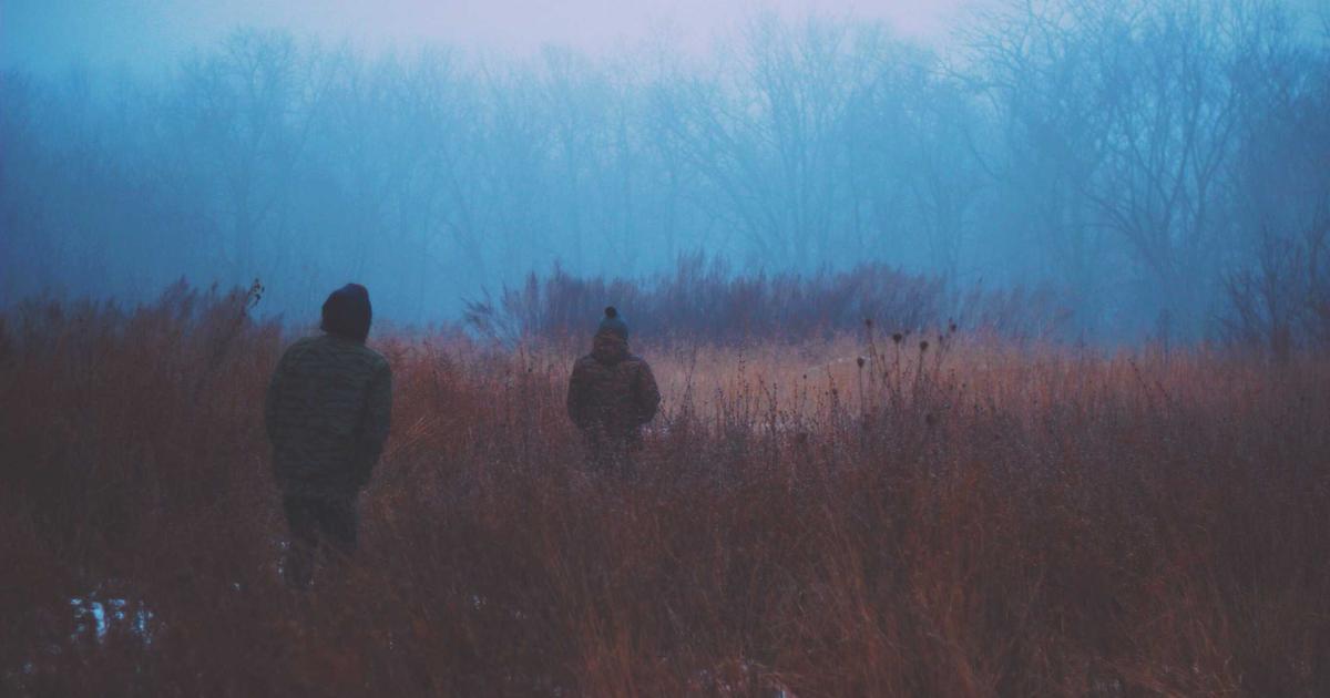 Email Marketing for SaaS: Gathering Customer Feedback