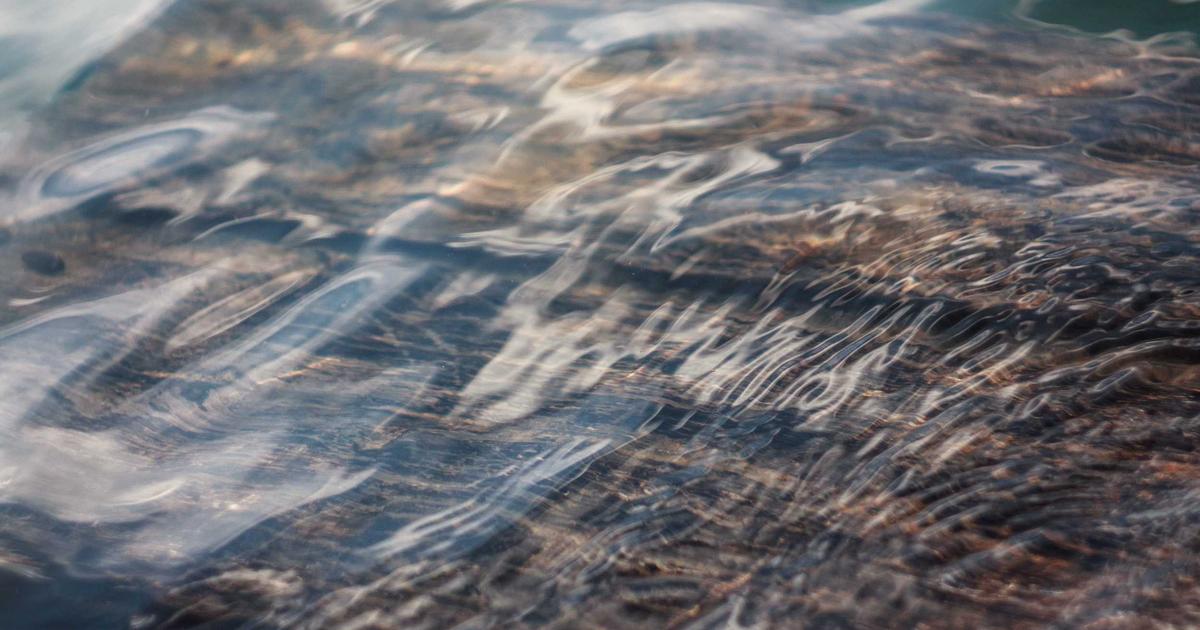 Email Marketing for SaaS: Driving Demo Requests