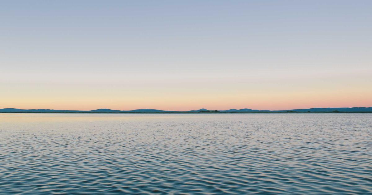 Email Marketing for SaaS: Building Effective Referral Programs