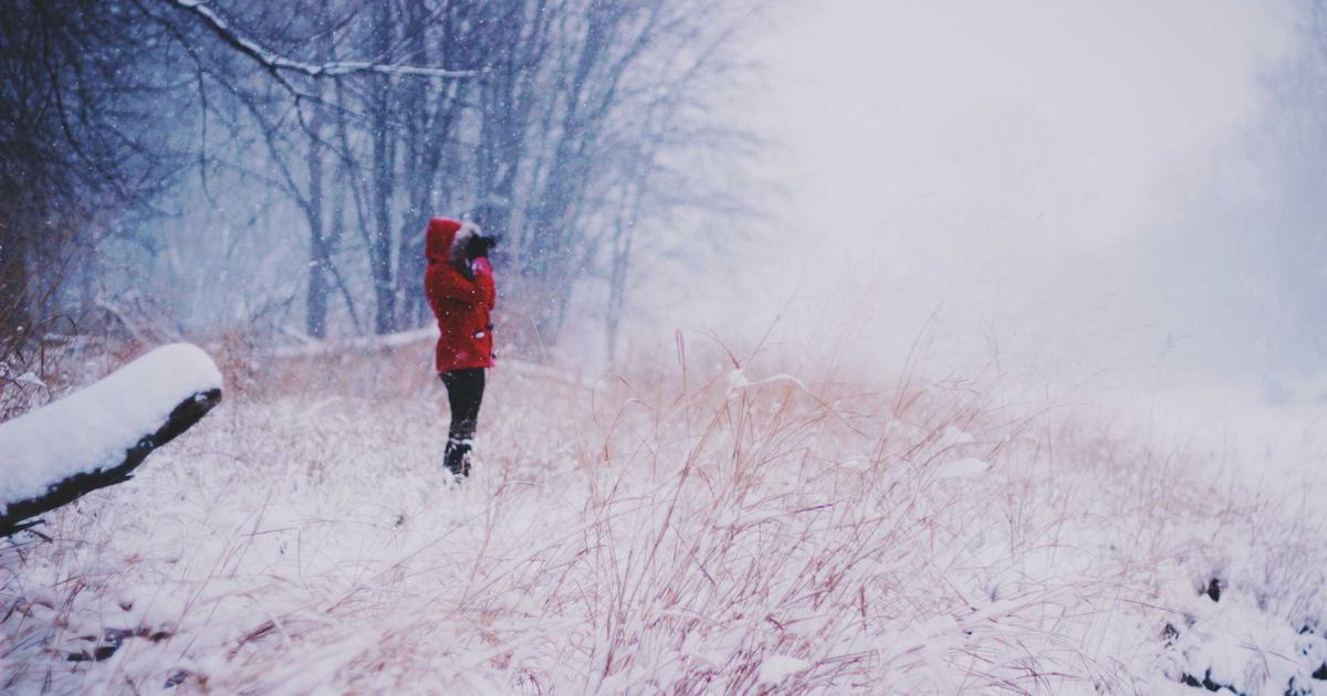 Email Marketing for SaaS: Maximising Webinar Attendance