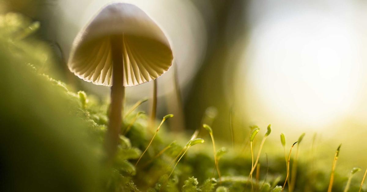 How to Write a Win-back Email that Drives ROI