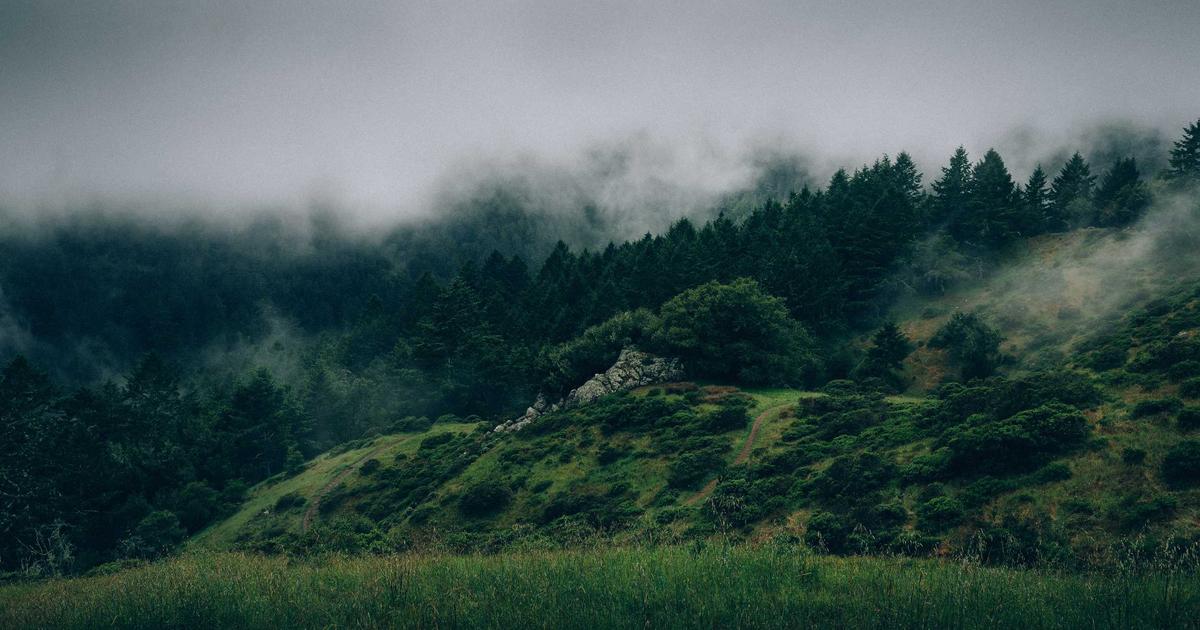 How to Write a Newsletter that People Actually Read